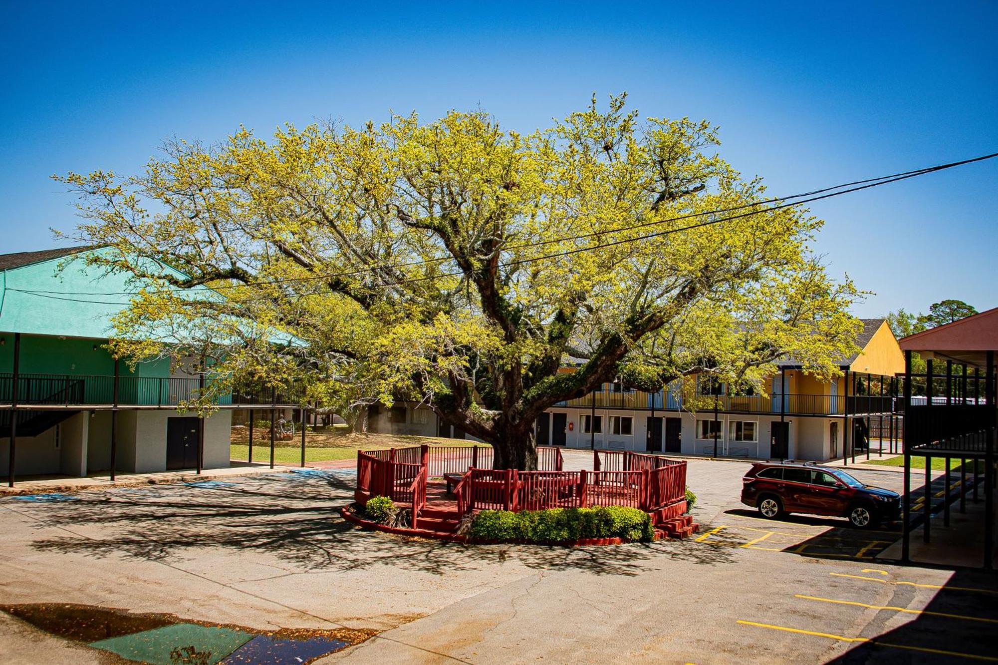 Motel Super 8 By Wyndham Biloxi Zewnętrze zdjęcie